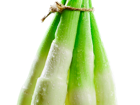  免抠蔬菜 茭白 笋 