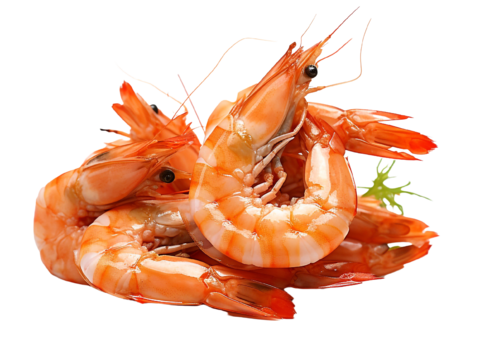  免抠虾 水煮虾 红虾 