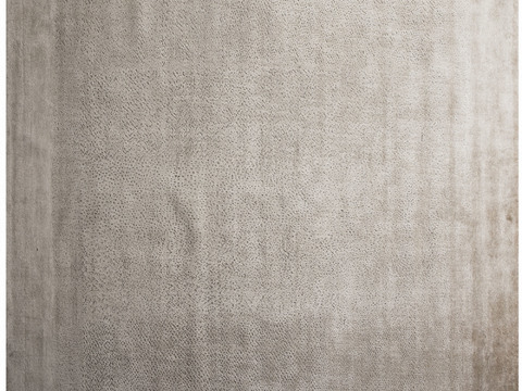  现代简约地毯 