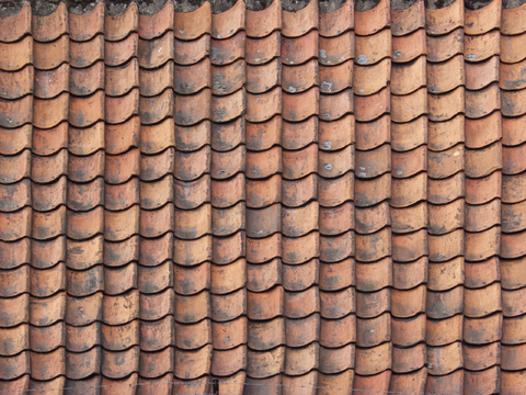  灰瓦 青瓦 瓦当 瓦片 屋顶瓦 彩钢屋顶 