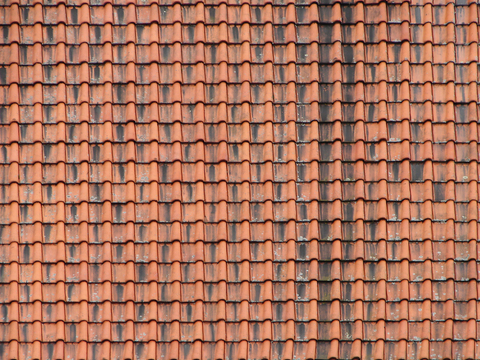  灰瓦 青瓦 瓦当 瓦片 犀顶瓦 彩钢屋顶 