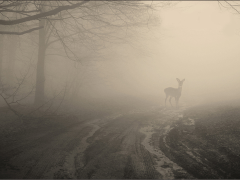  北欧风装饰画挂画高清 