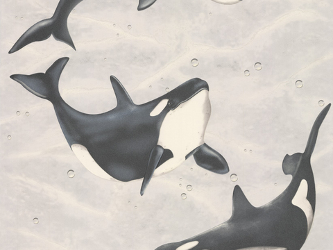  精品壁纸 素色壁纸 墻布 壁纸 墙纸 田园乡村 几何壁纸 