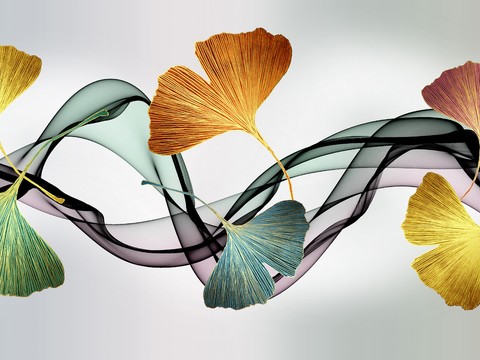  高清现代装饰画挂画 