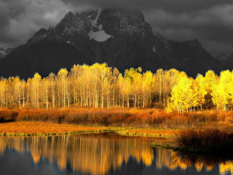  现代简约装饰画挂画摄影作品高清 