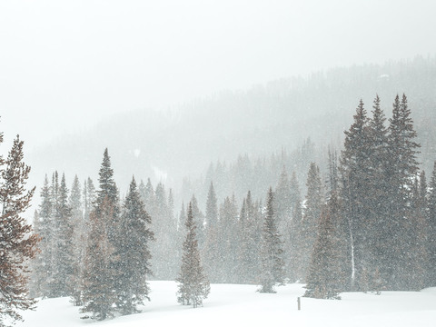  高清_外景_雪景贴图 