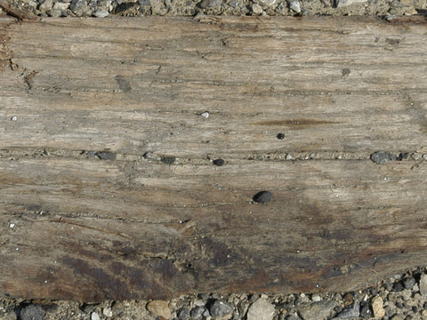  残旧木纹 残旧木 旧木头 