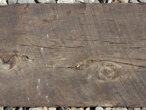  残旧木纹 残旧木 旧木头 