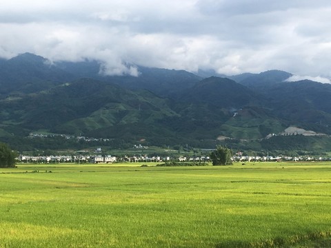 田野户外风景_乡村田园贴图