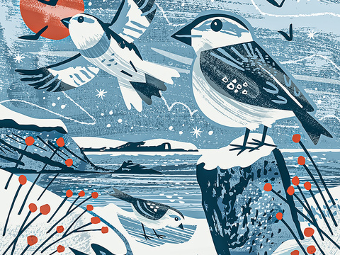  现代儿童房卡通鸟类装饰画贴图 