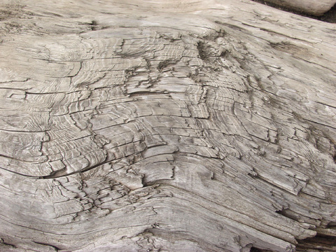  残旧木纹 旧木头 残旧木 