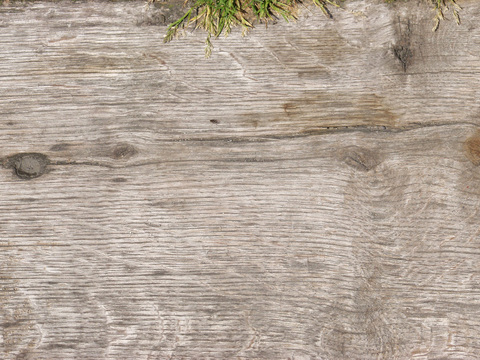  残旧木纹 残旧木 旧木头 