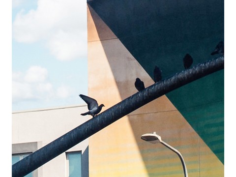  现代简约北欧抽象装饰画 