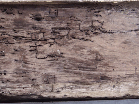  残旧木 旧木头  残旧木纹 