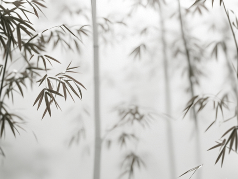  现代新中式杜邦纸 