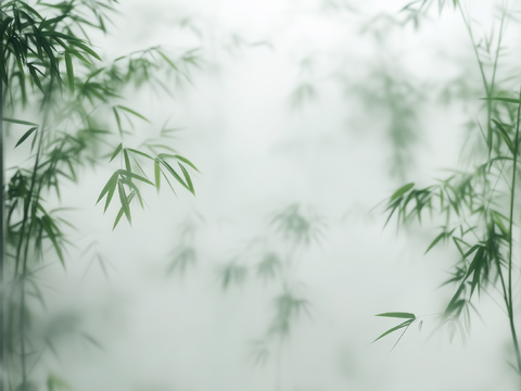  现代新中式杜邦纸_竹子禅意透光膜_透光杜邦纸 