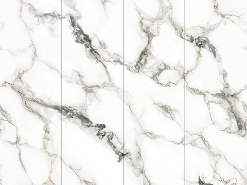  白色大理石拼花 