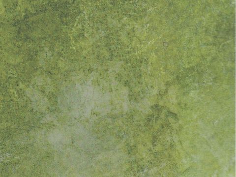  草地 草坪 
