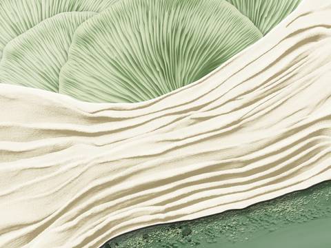  现代简约 装饰画 油画 壁画 抽象画 人物动物 卡通 