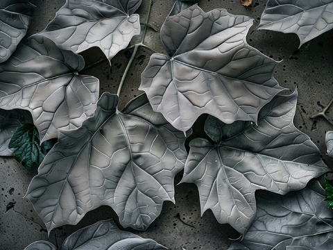  3D浮雕立体砖墙背景 