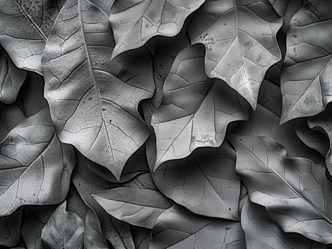  3D浮雕立体砖墙背景 