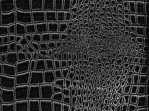  凹凸黑白-折皱贴图 鳄鱼皮 皮革 