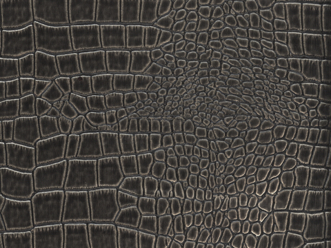  凹凸黑白-折皱贴图 鳄鱼皮 皮革 