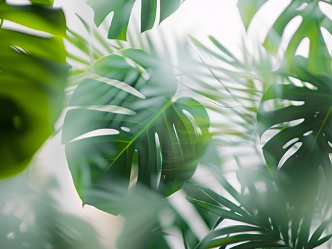  夹丝磨砂玻璃幕墙植物隔断 