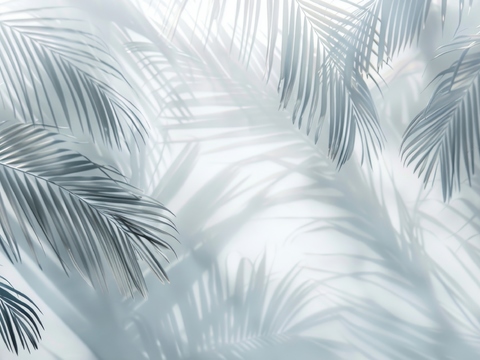  夹丝磨砂玻璃幕墙植物隔断 