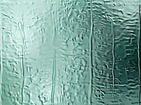  夹丝磨砂玻璃幕墙植物隔断 