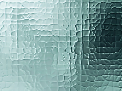  夹丝磨砂玻璃幕墙植物隔断 