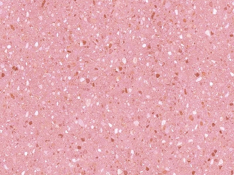  无缝粉色水磨石 