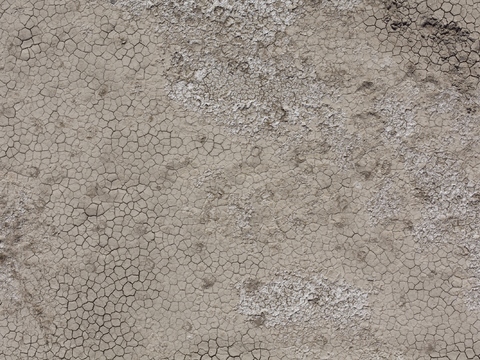  裂纹泥土地面 