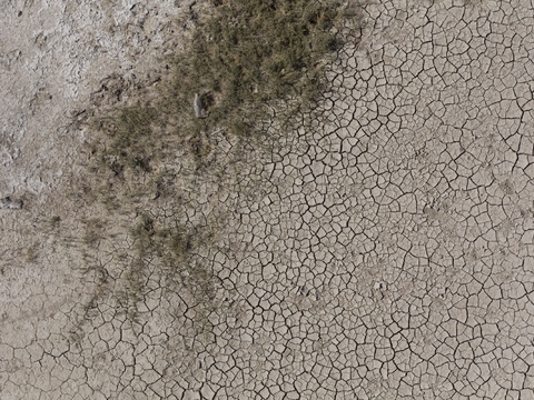  裂纹泥土地面 