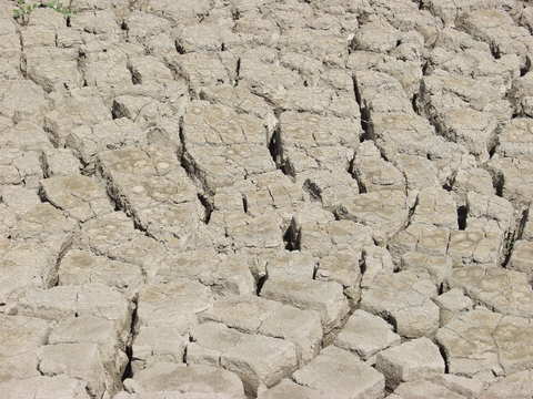  裂纹泥土地面 
