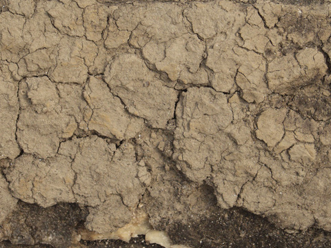  裂纹泥土地面 