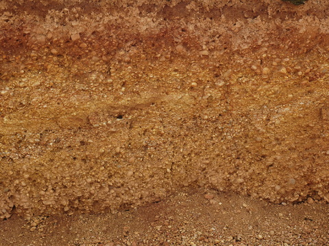 泥土地面 