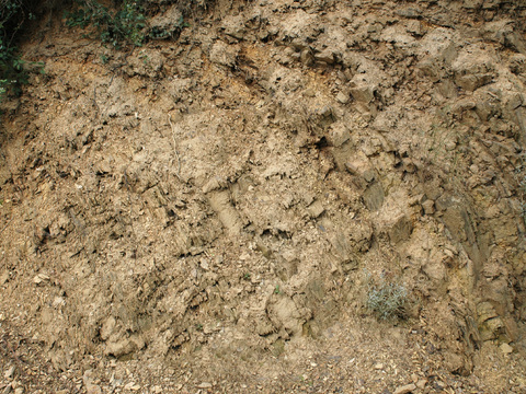 泥土地面 