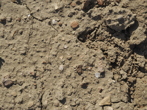  裂纹泥土地面 