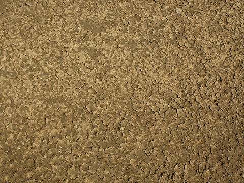  裂纹泥土地面 