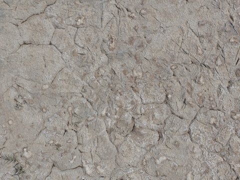  裂纹泥土地面 