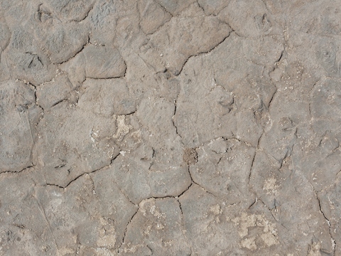  裂纹泥土地面 
