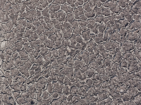  裂纹泥土地面 