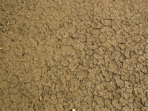  裂纹泥土地面 