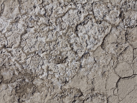  裂纹泥土地面 