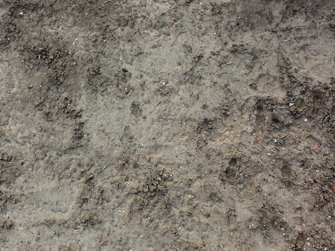  泥巴地面 地面 