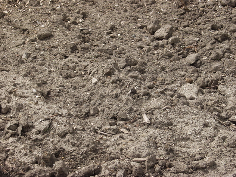  泥土地面 