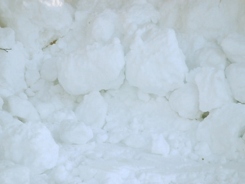  雪地地面 雪地 