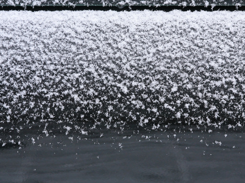  雪地地面 雪地 