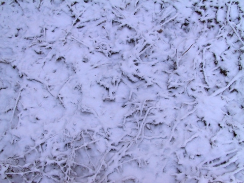  雪地地面 雪地 